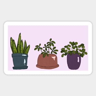 Plant Trio 1 Magnet